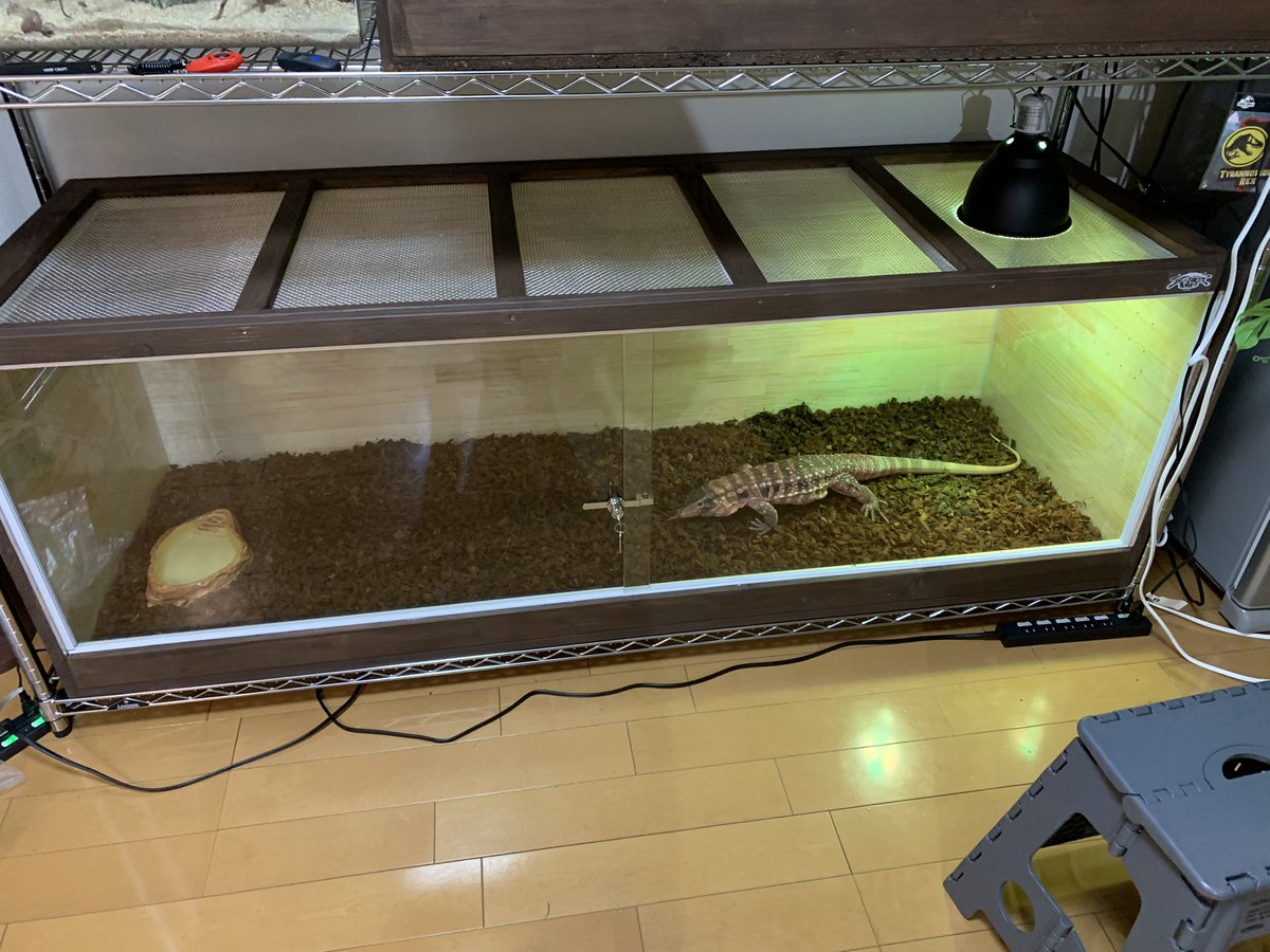 tessan_sun's tweet photo. 我が家のレッドテグーのフビライくんのために、A.O.Cage（@AO_cage ）さんにお願いしていたケージが届きました😆

デカい！そしてカッコイイ！😂
フビライくん、良かったね☺️

A.O.Cageさん、遠いところまでありがとうございました‼️ https://t.co/Fe6Jzg7AiA