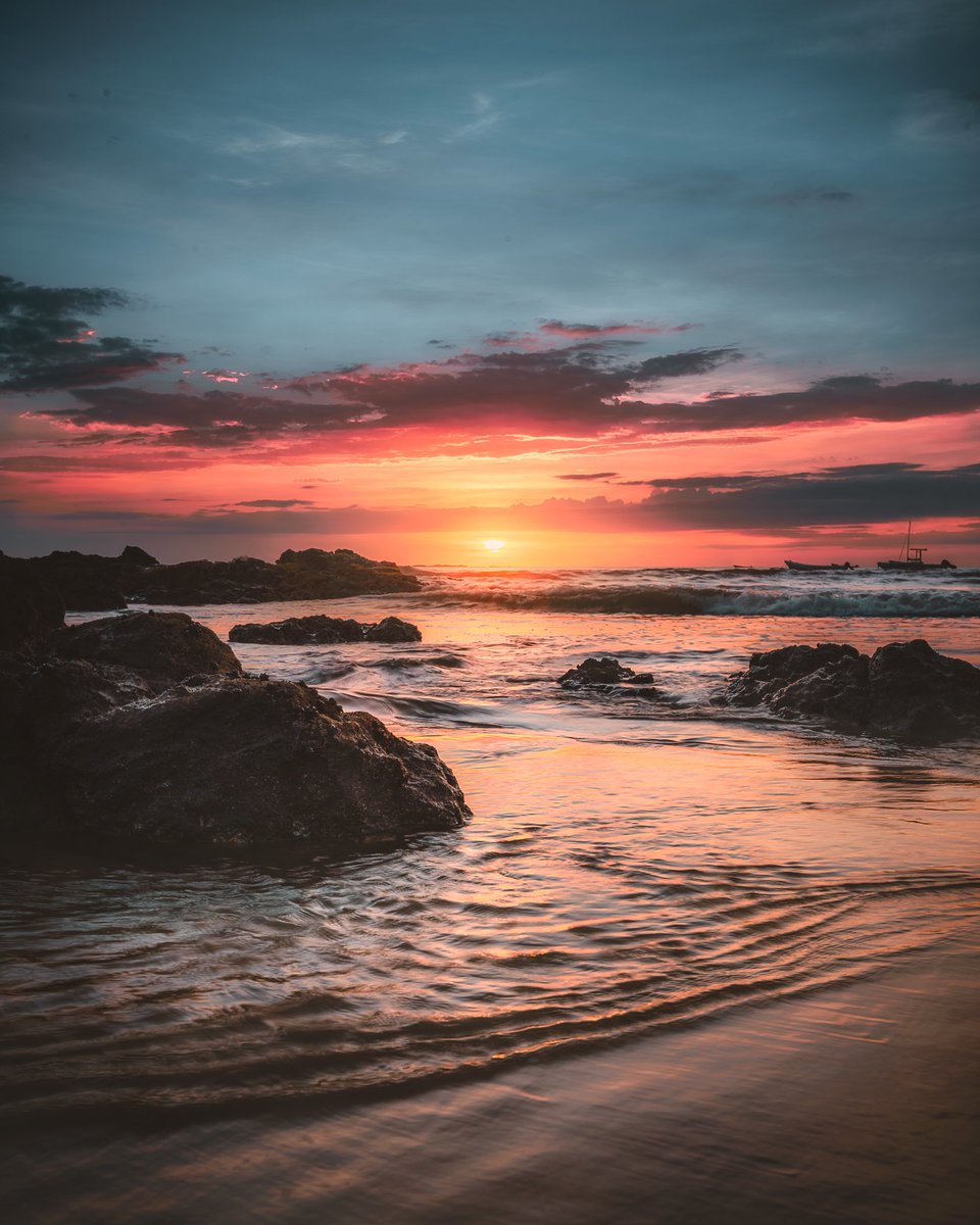 Nick Brownlow tweet media