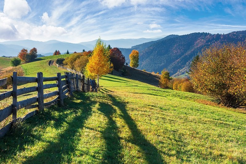 FarmLoanCenter's tweet photo. A VA Rural Home Loan is a great option for veterans wanting to buy or refinance a home in a rural area. Learn more in our blog: https://t.co/ru0MlqVjlc https://t.co/sXC7UJ0m4u
