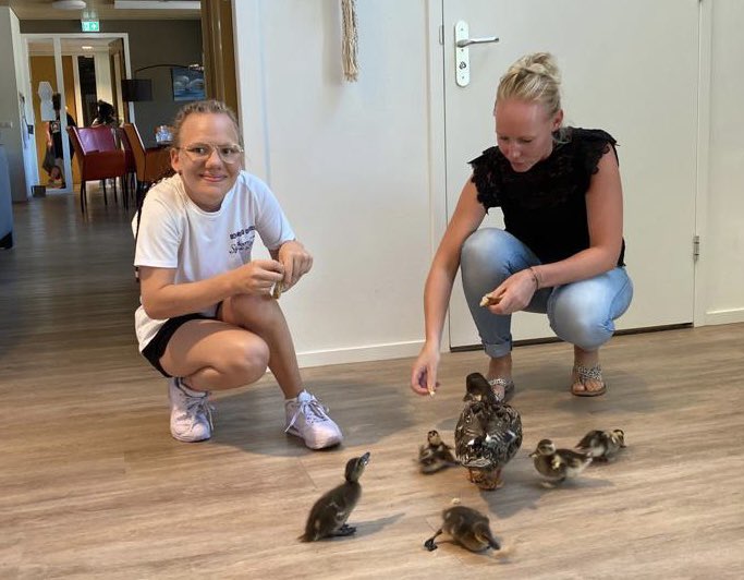 Gisteren op de locatie #Brederoweg van <a href="/philadelphiaNL/">Philadelphia Zorg</a> in #Hoogeveen kennis gemaakt met de nieuwe bewoners. 🦆🐥🐥🐥🐥🐥 (foto met toestemming geplaatst)