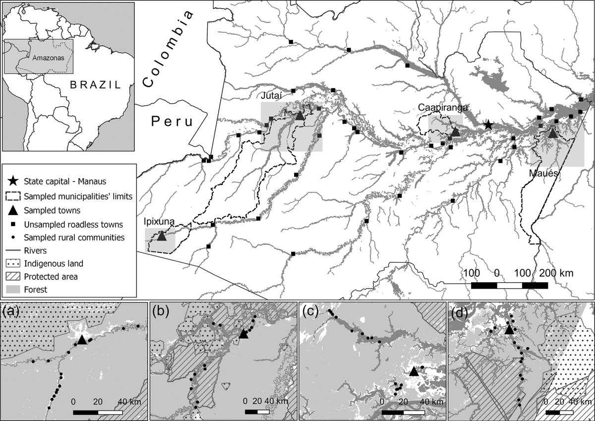 _LukeParry's tweet photo. New paper on wildmeat! Led by P Torres. https://t.co/xeDknYpWx3
* Rural–urban mobility persists in urbanized Amazonia. Flows of people, goods, ideas blur R/U lives. 
* R folk eat 21kg wildmeat/year vs 5kg in towns.
* In towns, key = social networks &amp; R–U mobility. https://t.co/HkxmybEWXE