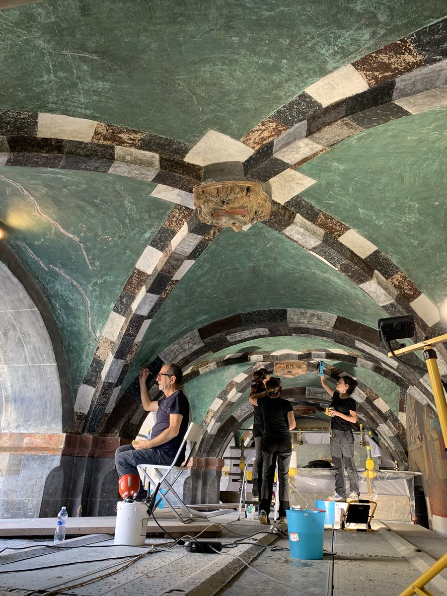 Sara Missaglia tweet media