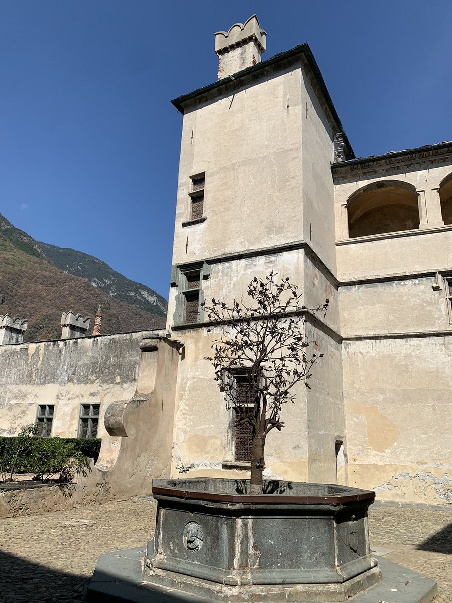 Sara Missaglia tweet media