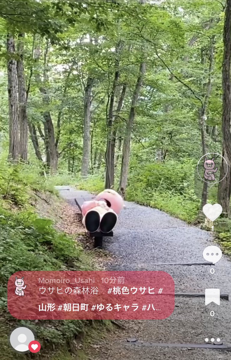 桃色ウサヒ Momoiro Usahi Twitter