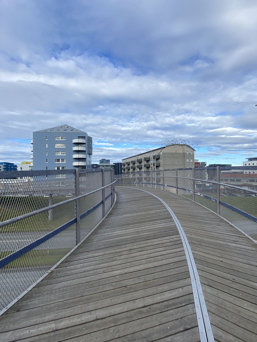 Ég geng oft yfir þessa brú milli Teiga og Túna, yfir KMbraut. Handriðið ryðgað, málningin er þreytt og hún er ásett (lélegu) graffi. Það væri svo mikil prýði ef hún væri máluð fallega, td í norðurljósalitum, sem myndi mæta gangandi/keyrandi, andspænis firði og fjöllum í fjarska🗻