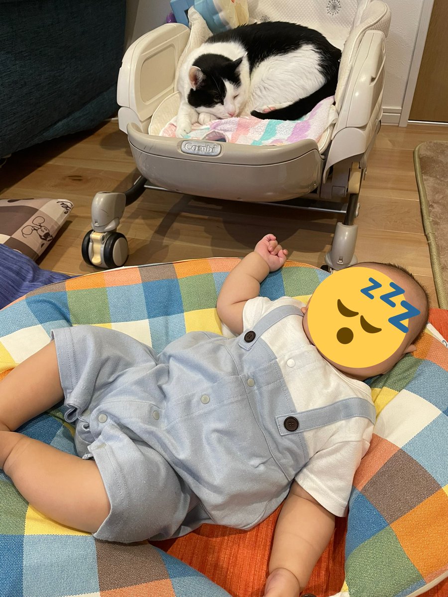 Roi_1230's tweet photo. ベッドを奪われた😱
猫がベッドで
赤ちゃんは授乳クッション😁
なんてこったー🤣🤣

#ねこ #ネコ #猫 #にゃんこ
#保護猫 #ハチワレ
#猫好きさんと繋がりたい https://t.co/DaQQyqeIpz