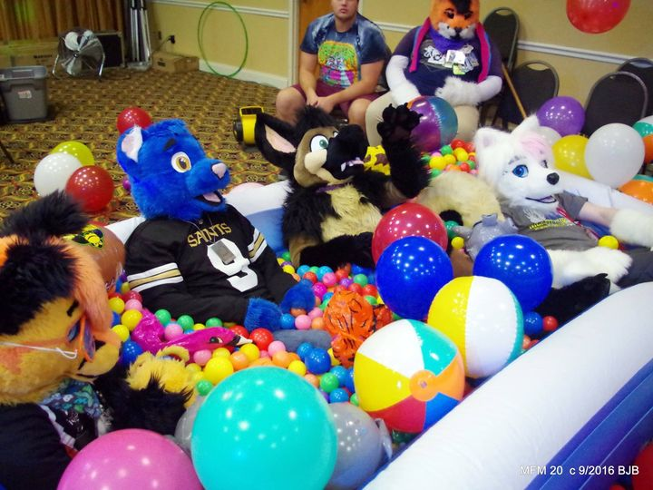THE_BJBUTTONS's tweet photo. The ball pit at #mephit2016 @Mephitfurmeet #mephitfurmeet #Mephit #mfm #MFM #Mephit2022 is 7 days away! #fursuit #fursuiter #fursuiting https://t.co/LDuonEE2y8