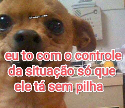 Itspedrito's tweet photo. Bom dia https://t.co/CpZMTpQQKK