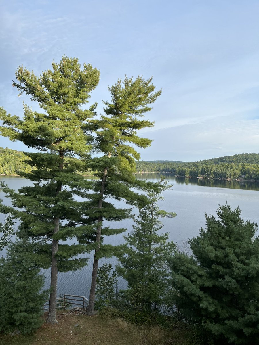 A peaceful morning from Kennisis Lake