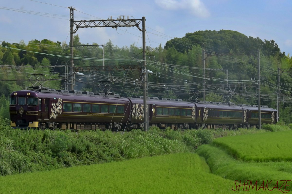 50101TUBASA's tweet photo. (回) 19200系 SA01 観光特急あをによし
ツアーは大和八木→京都間片道乗車 サロンカーは貸切状態で撮影会でしたw
2回目だしまだNS改造とは思えないw
高級感あります
① 西の京〜尼ヶ辻
#あをによし
#SA01
#尼ヶ辻撮影地
#近鉄 https://t.co/5C4nOH18eR