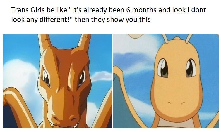 conure🍉🐦 (@conurecc) on Twitter photo 