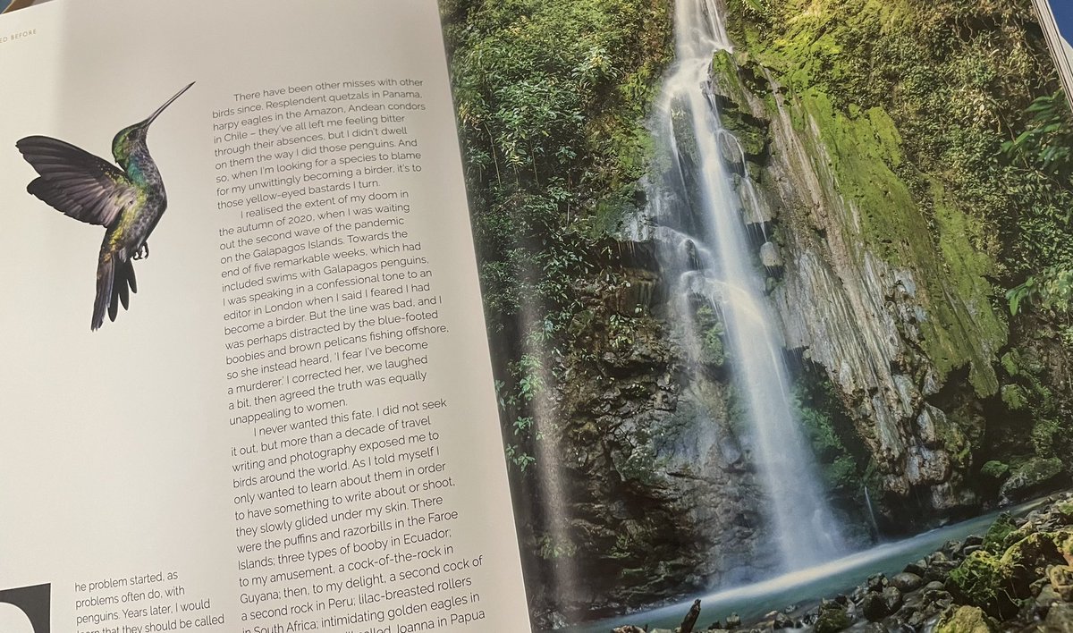 PicsAndInk's tweet photo. "In that part of Costa Rica...the sky was never completely parrot-free." Pics and Ink to give you itchy feet from @MegaHeid in @JrnYmag Issue 2 #readitinamag #indiemags #picsandink https://t.co/1mabmhsFsF