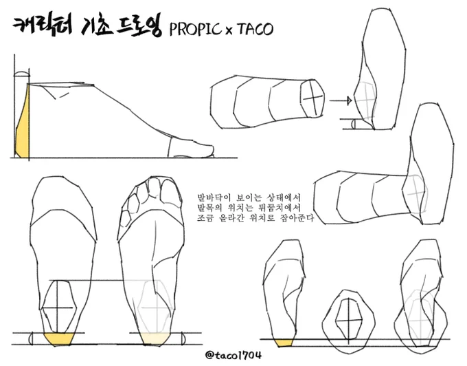발바닥이 보이는 상황에서 발목의 위치는 뒤꿈치에서 조금 올라간 위치로 잡아준다 