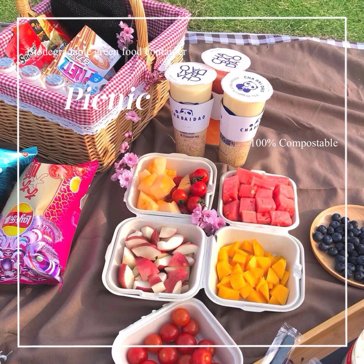 Berry_Watsonpak's tweet photo. Picnic Time without plastic garbage.
100% biodegradable and compostable.
#bagasse #watsonpak #watsonpackaging #wedding #noplastic #green #trending #biodegradable #envases #planet #ecofriendly #qatar #canada https://t.co/e3KwQMZumV