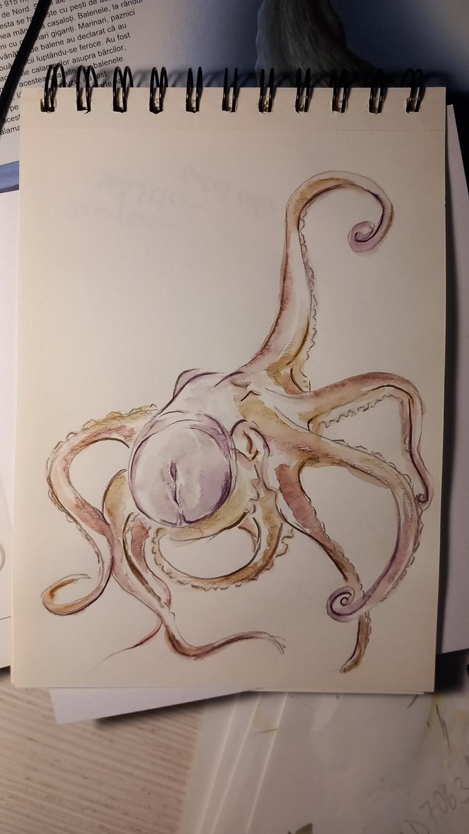 #octopus #shunga #eroticart