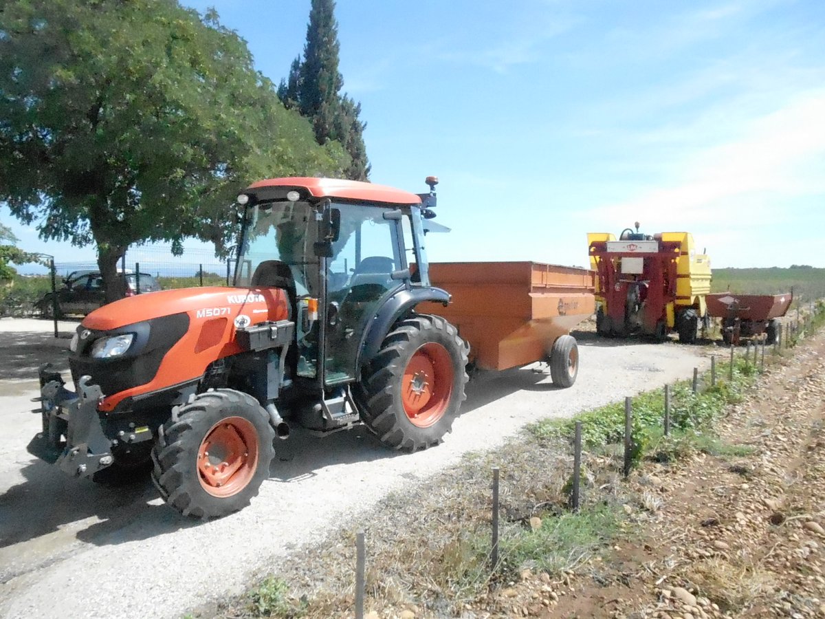 LOUFREJAU's tweet photo. Tout est prêt...à vos marques....Bientôt partez!
Cave et cuverie 👌 tracteur 🚜 et machine à vendanger...ça sent...ça sent...les vendanges 🍇 https://t.co/4HDXxdErYx
