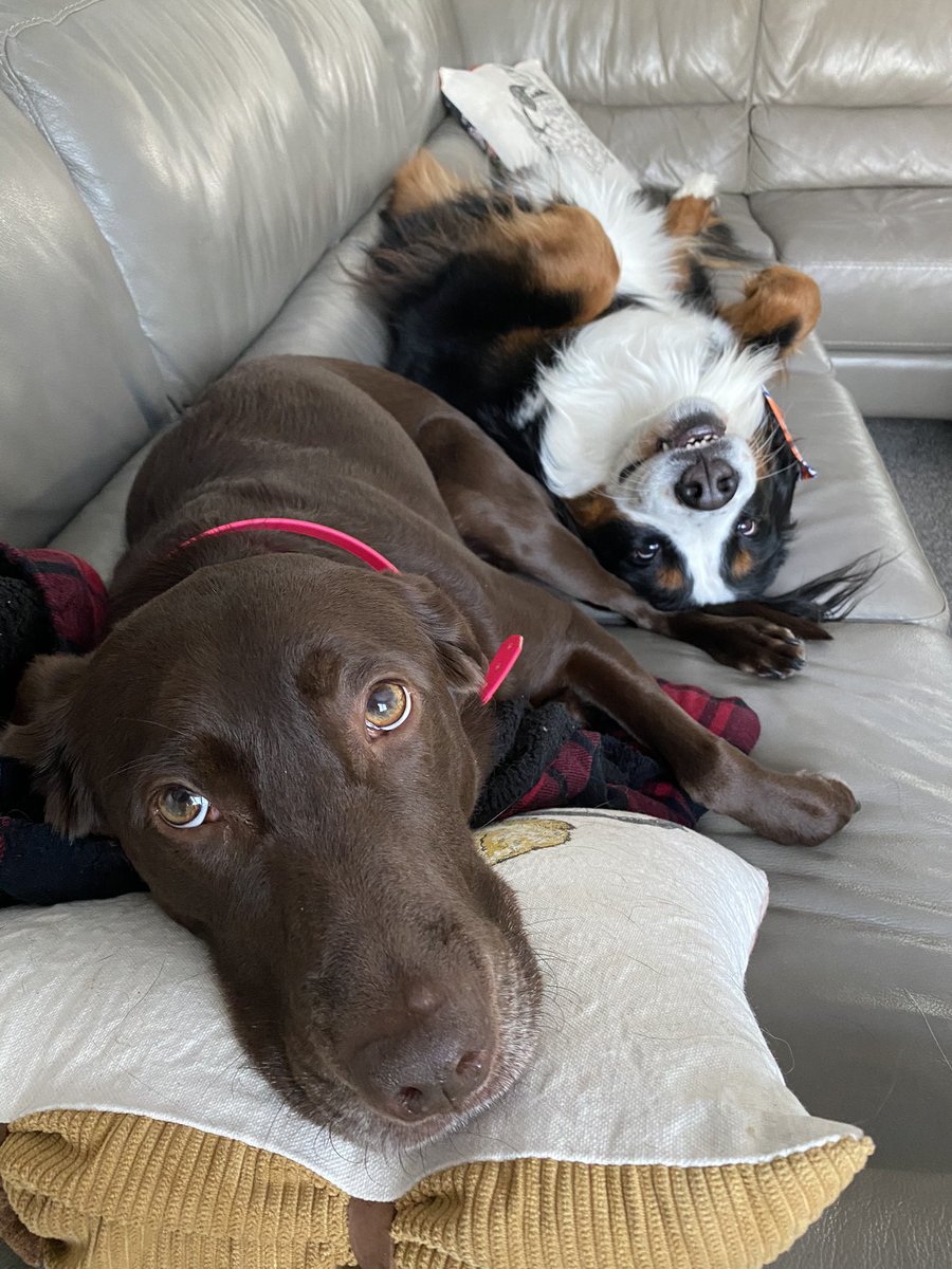 ARISE Program tweet media