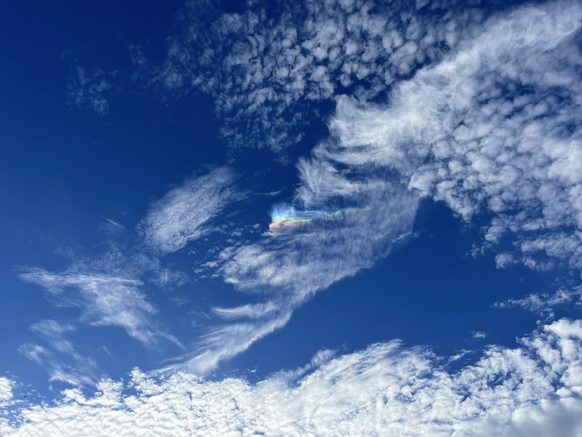 WithMyVansOn's tweet photo. Rainbow rib cloud https://t.co/MZkklAhrjT