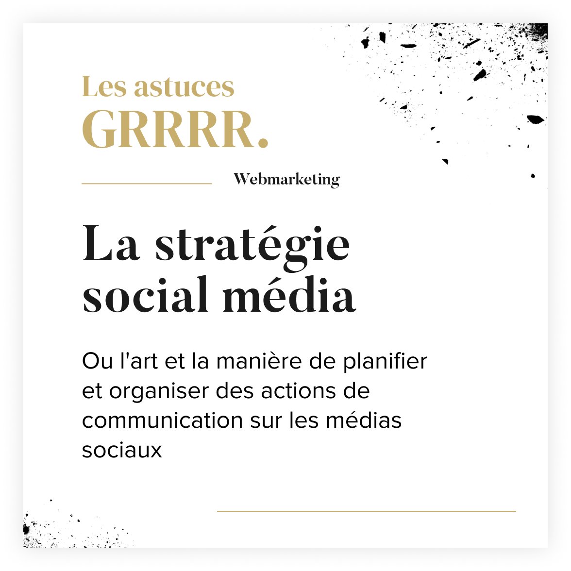 🦁 La Jungle Design tweet media