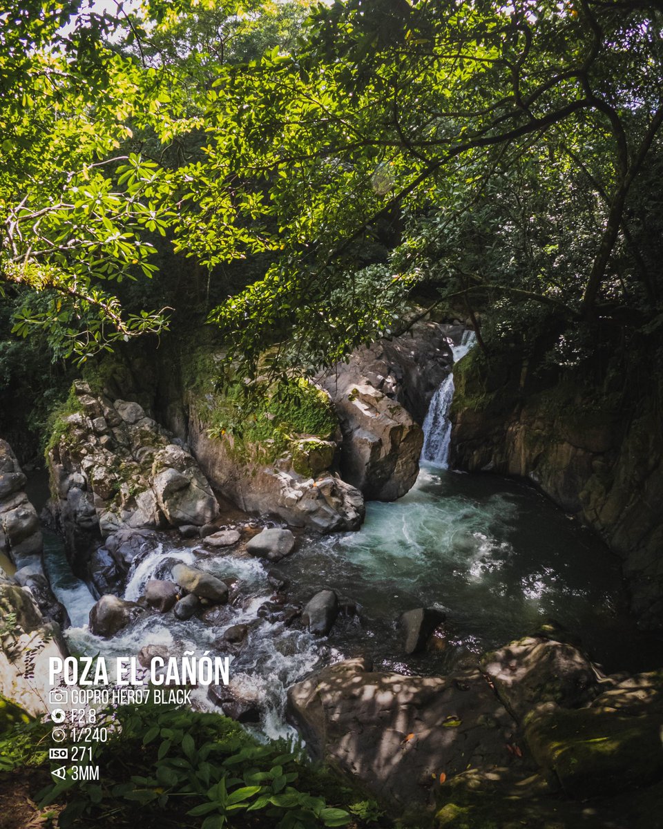 jp_monge's tweet photo. Poza El Cañón
#forest #landscape #landscapephotography #nature #naturelovers #photography #GoPro #goprohero #goprohero7 #goprooftheday #goprohero7black #ShotOnLexar #YourShotPhotographer #photooftheday #picoftheday #beautiful #puravida #waterfall #hiking #adventure #CostaRica https://t.co/veDqyRY4J5