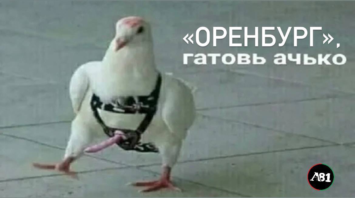 I_IX_VIII_I's tweet photo. Красную карточку Мампасси отменили. Ну всё…

https://t.co/F88RWyoDnk https://t.co/uGJdIf2vWi