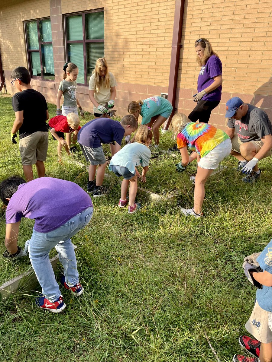 msferreira6's tweet photo. Our Community Garden is opened! 🌸🌻🍀 our young gardeners are cleaning the raised bed and planting peas😋 @OliveChapelElem @ErinKelleyMay #hansonlearning https://t.co/2rbih6QO9W