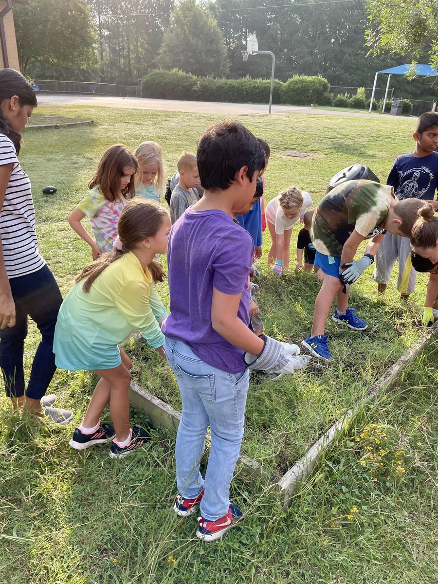 msferreira6's tweet photo. Our Community Garden is opened! 🌸🌻🍀 our young gardeners are cleaning the raised bed and planting peas😋 @OliveChapelElem @ErinKelleyMay #hansonlearning https://t.co/2rbih6QO9W