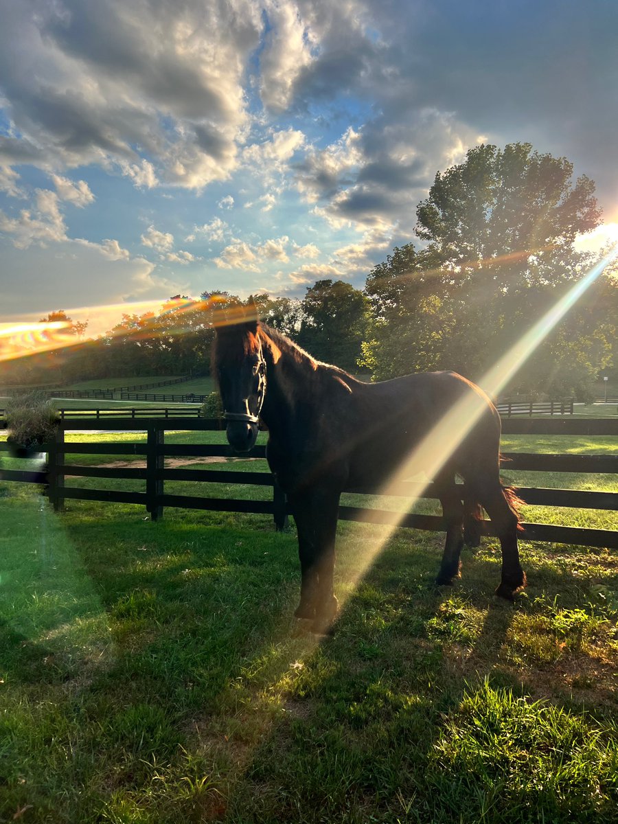 Tracey Bregman tweet media