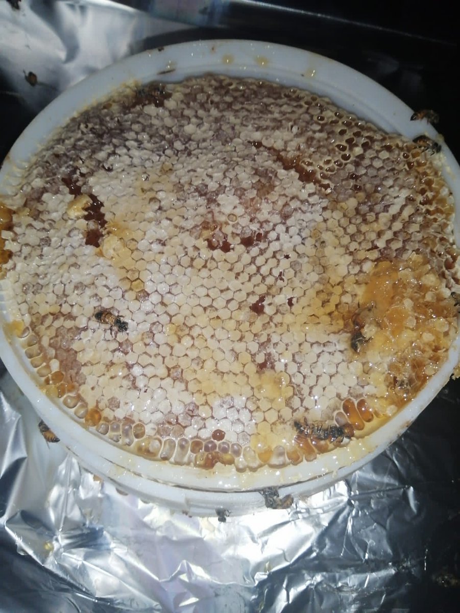 ✨ Precision 🐝 beekeeping...this is the way forward✓✓✓