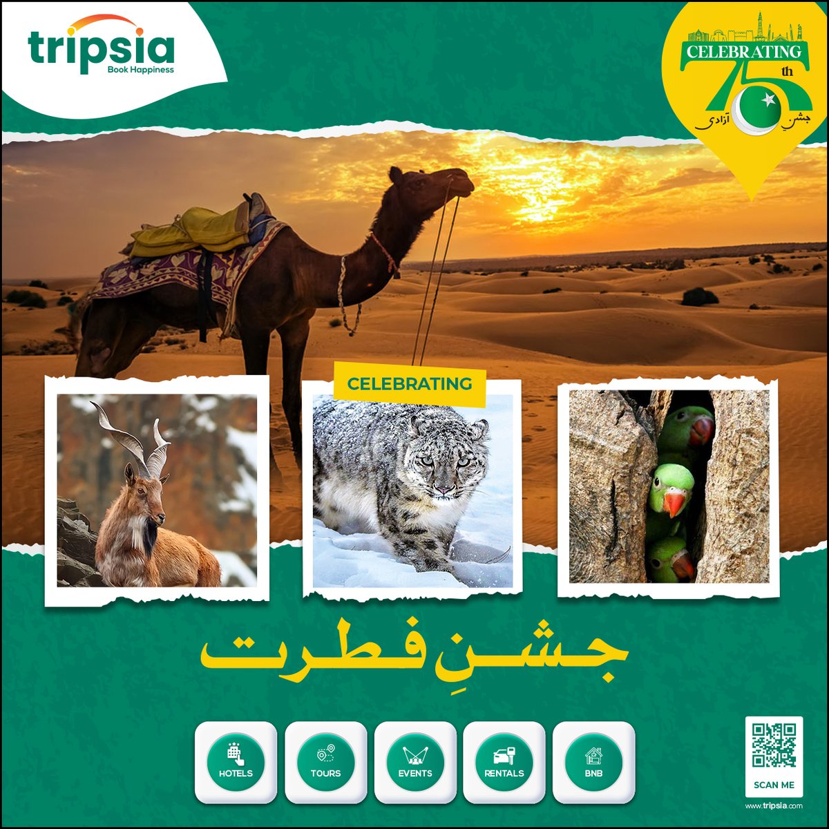 TripsiaOfficial's tweet photo. Nature is the world’s art
Celebrating the beauty of flora &amp; fauna in the land of green and white.

#travel #nature #bookhappiness #pakistan #peacefulpakistan #travelpakistan #travelandlife #travelblogger #wanderlust #beautifulpakistan #adventure #travelvlogger #landscape #summer https://t.co/NelvW61Psy