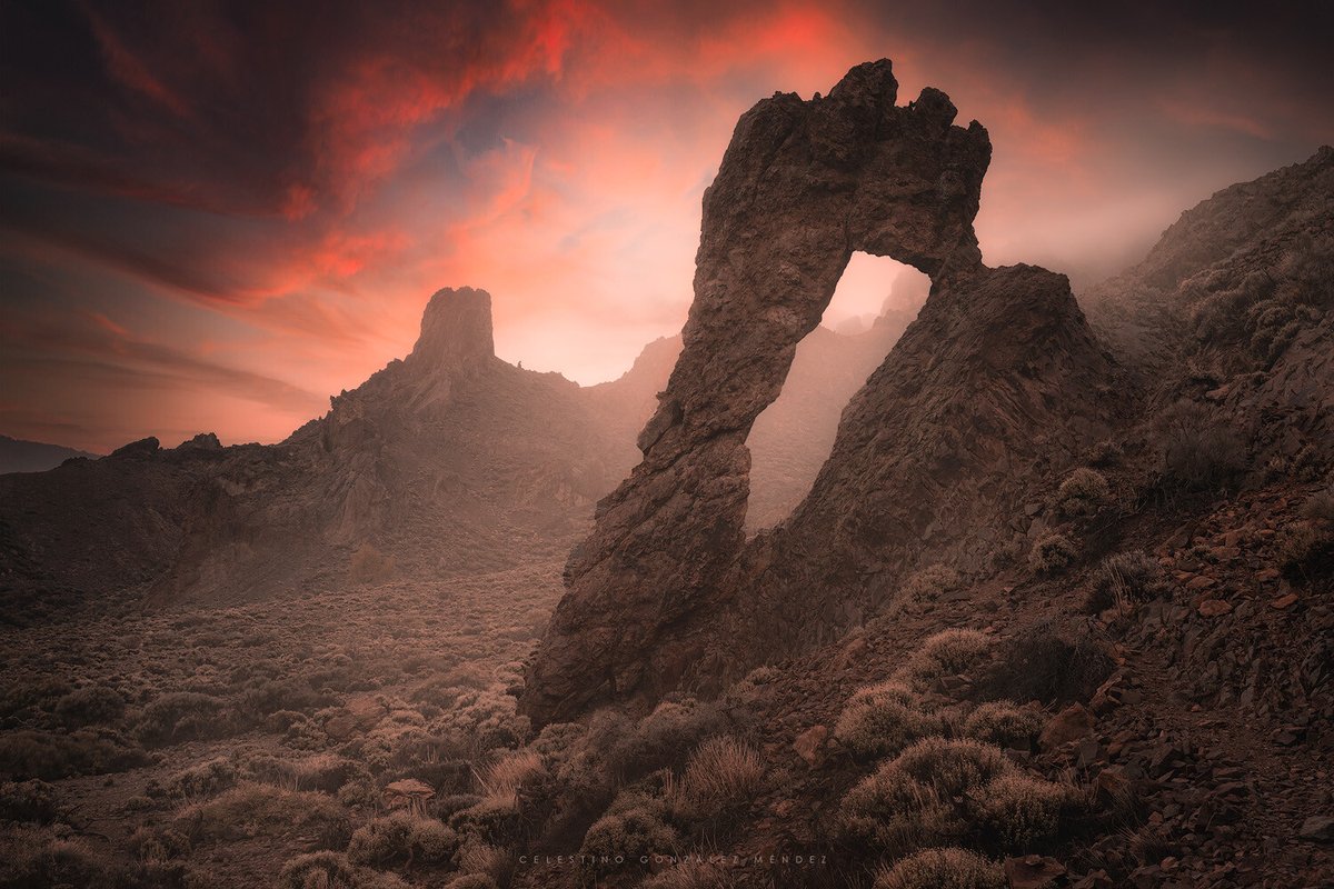 100ASAOfficial's tweet photo. Zapato de la Reina -  By Celestino Gonzlez
Published on the Elite Gallery @ https://t.co/jteuZDDZOd
#Tenerife #Canarias #CanaryIsland #LaOrotava #Espaa
Let's spread beauty, Please RT #100ASAOfficial https://t.co/ktIFG2Xkga