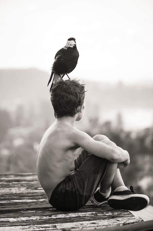 من يوم تعيينهم لليوم كأن على رؤوسهم الطير ...
#أعضاء_مجلس_القيادة_الرئاسي