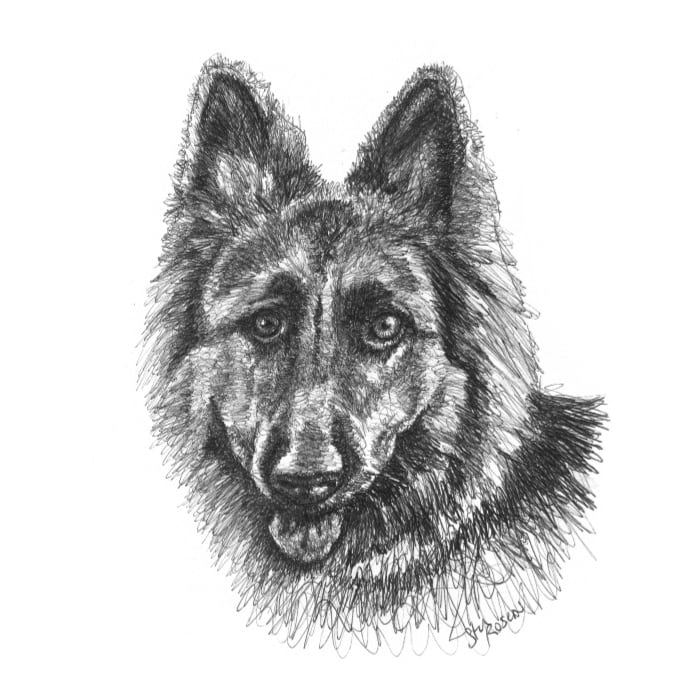 Latest Commission. Ballpoint pen. Time to get a headstart on your Christmas gifts.