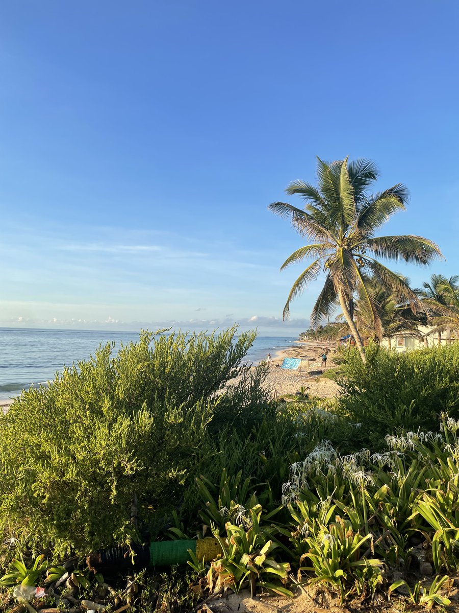 HotelSunSet's tweet photo. Disfruta de Las cosas simples que te da la vida. Enjoy the simple things life gives you.
#soundbaybeach #sanandrés #playasoundbay #sanandresisland #enjoylife #disfrutalavida https://t.co/J7svJFtk5V