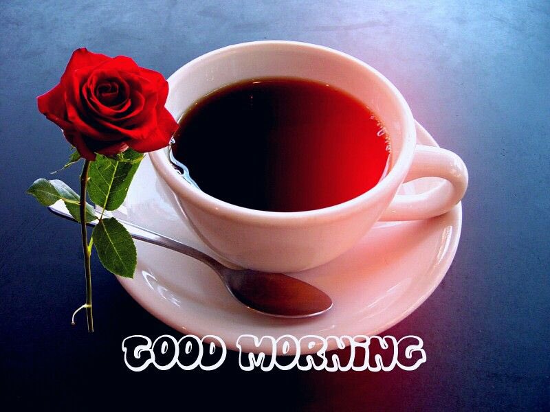 Richard85282251's tweet photo. @Reyna_riverita Hola
Buenos días a ti https://t.co/7U2U0bZwTp
