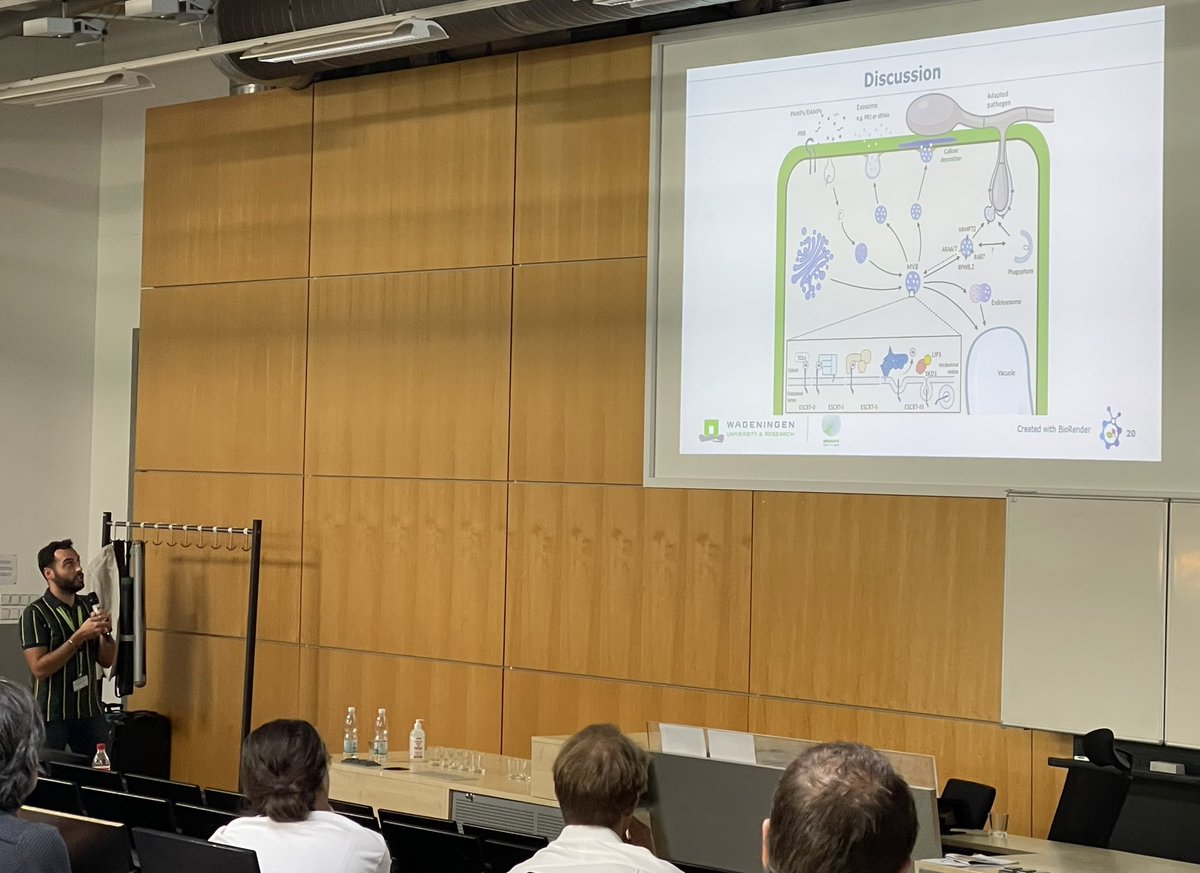 Sophien Kamoun (@kamounlab) on Twitter photo Quite an impressive #OMGN22 talk by <a href="/_danielmonino/">Daniel Moñino</a> <a href="/JackVossen/">Jack Vossen</a> on how potato blight resistance gene Rpi-agf1 turned out to encode the MVB component LIP5 🙌 Quite an impressive #OMGN22 talk by <a href="/_danielmonino/">Daniel Moñino</a> <a href="/JackVossen/">Jack Vossen</a> on how potato blight resistance gene Rpi-agf1 turned out to encode the MVB component LIP5 🙌