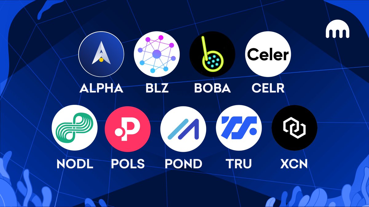 Celer Nation (@celernetworkint) / Posts / X