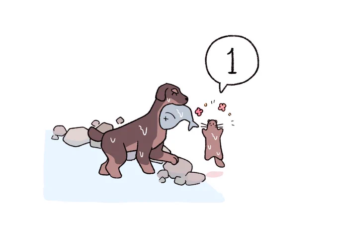 D-1 