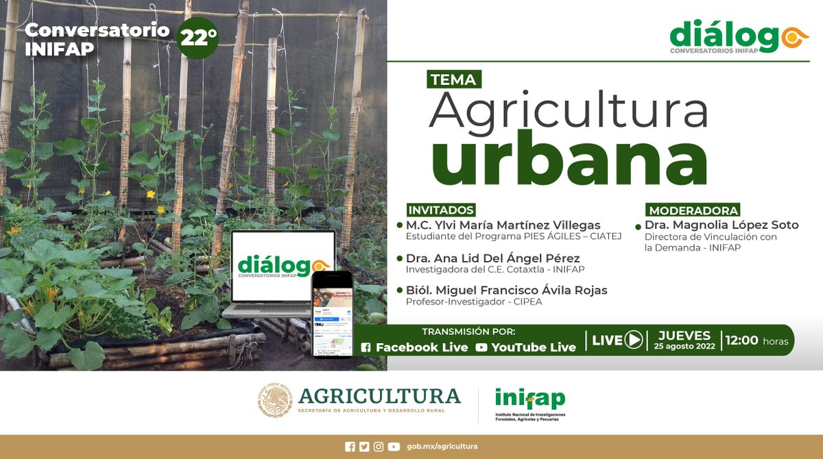 ¡Solo falta una hora! ⏰

No te pierdas de nuestro Diálogo de "#AgriculturaUrbana". 🌱🏙️

🔴 #EnVivo a través de:
👉 Facebook: fb.me/e/3F9dDY0ce
👉 Youtube: youtu.be/-cg6jKgv0ug