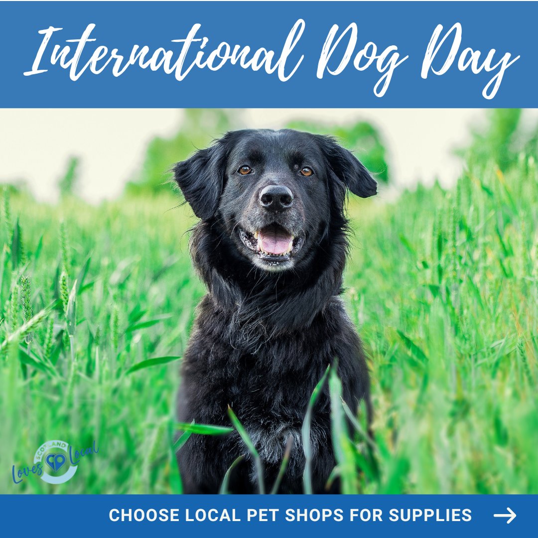 It's International Dog Day! 🐶

Think local for pet supplies and vets! Share a pic of your furry friend in the comments 😃

#InternationalDogDay #ChooseLocal