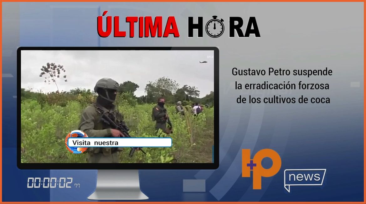 IP Televisión Digital tweet media