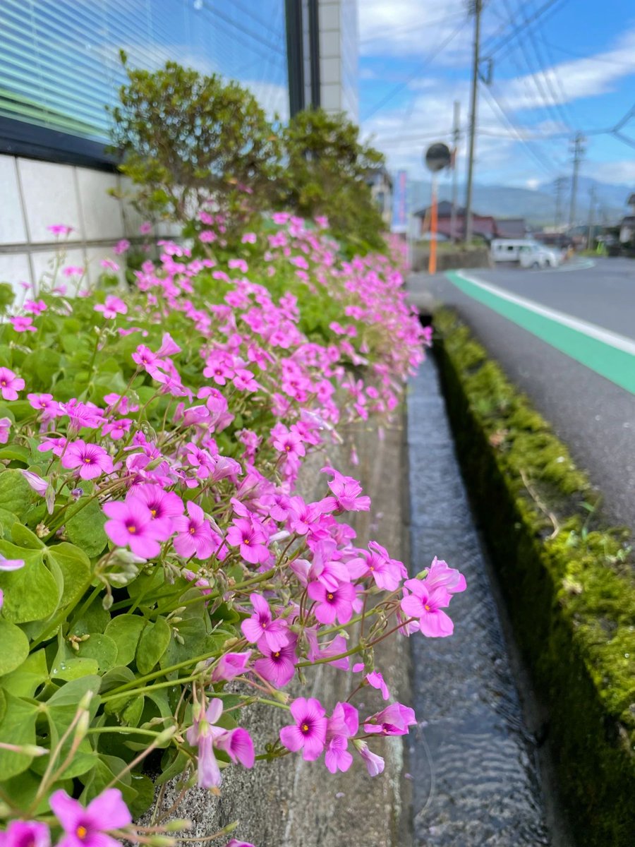 William12879's tweet photo. 日本癒し系風景日本生活心修行 https://t.co/mhUdDUwEdD