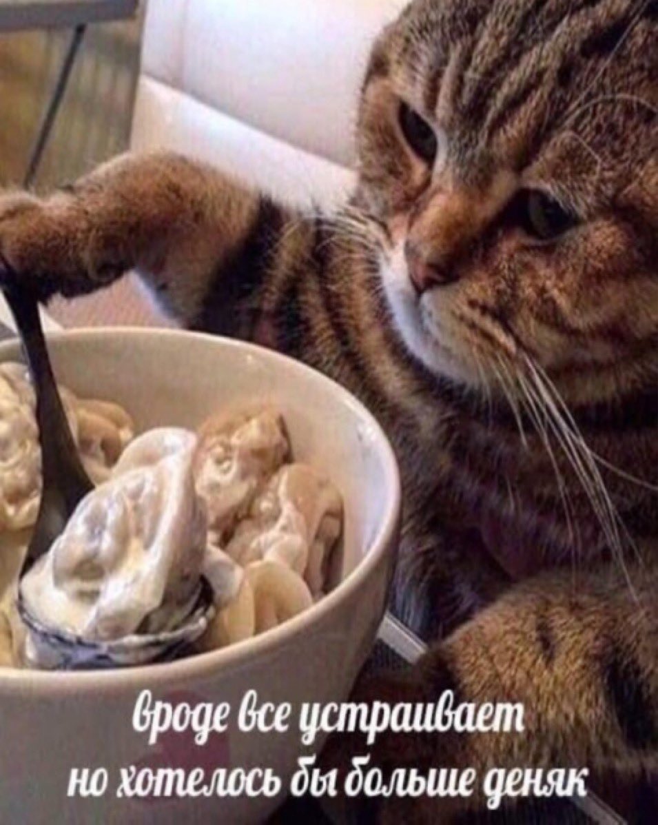 Я каждый день