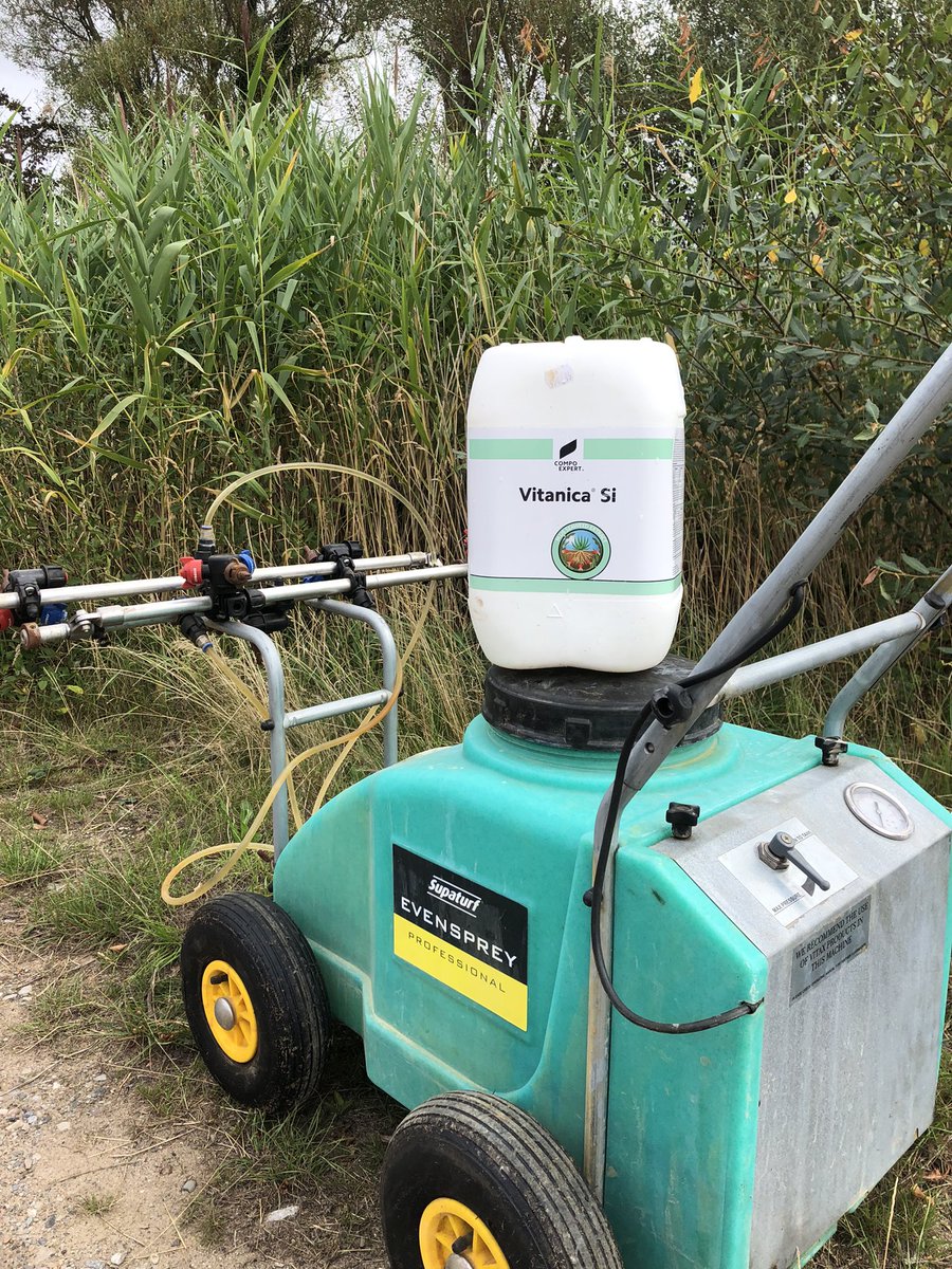 PaulGater9's tweet photo. Weather window was perfect this week to spray the new par 3 greens ☀️☔️🏌🏼‍♂️with Vitanica Si . #Healthyboost #Caldygolfclub https://t.co/iouBneaSIY