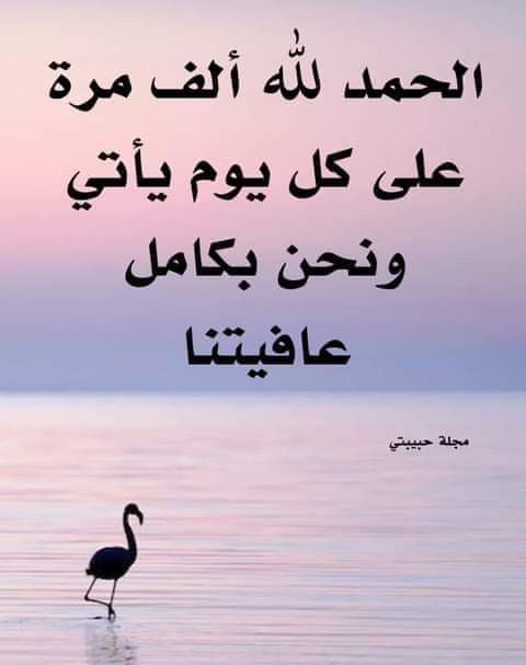 4sinaa's tweet photo. https://t.co/x31dtV4mId
