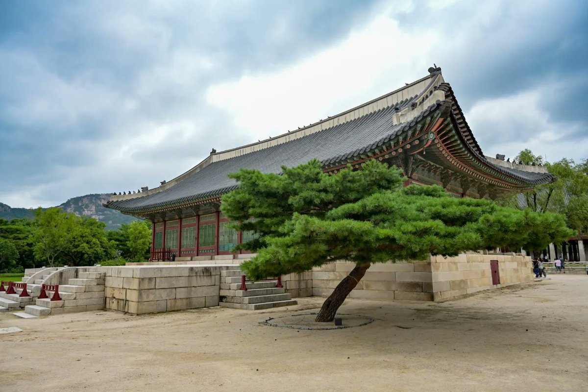 Shutterpillar_'s tweet photo. "Beauty perishes in life, but is immortal in art” - Leonardo da Vinci.

Gyeongbokgung Palace was the main royal palace of the Joseon dynasty built in 1395.

#SeoulVibe #SouthKorea #Korea https://t.co/y9xAbRp9gv