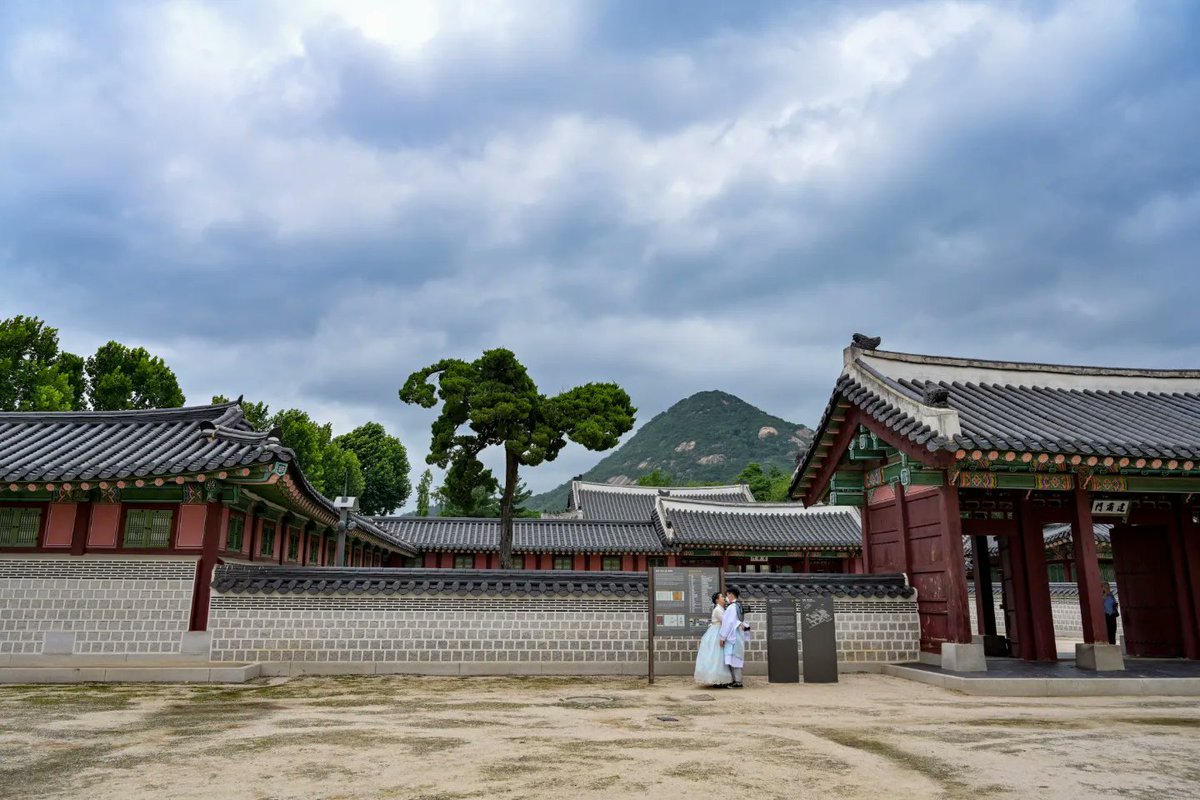 Shutterpillar_'s tweet photo. "Beauty perishes in life, but is immortal in art” - Leonardo da Vinci.

Gyeongbokgung Palace was the main royal palace of the Joseon dynasty built in 1395.

#SeoulVibe #SouthKorea #Korea https://t.co/y9xAbRp9gv