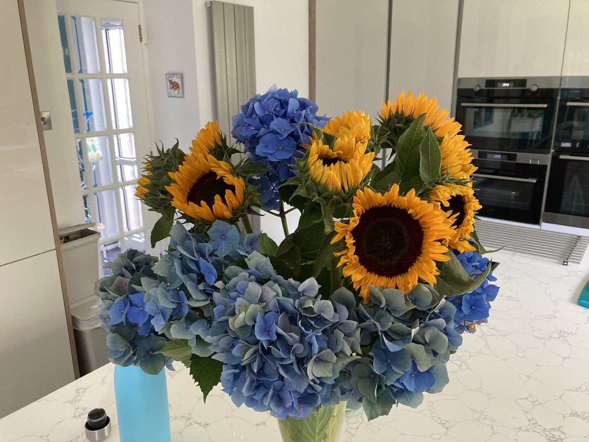 Hamish Macleod (@hamishmacleod1) on Twitter photo 