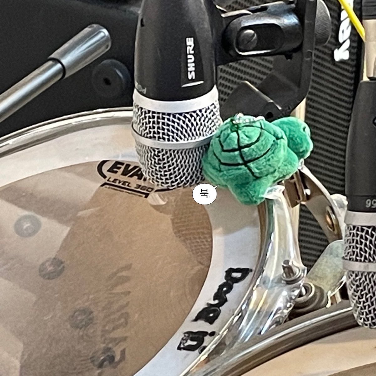 #우리집박치기버부기

버부기의 험난한 드럼 도전기🥁