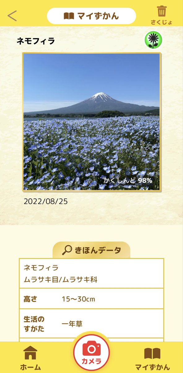artcomama's tweet photo. これは本気で便利アプリすぎる説🥺🥺🔎

ママ！これ何の花？？何の虫？？って聞かれていつもその場で必死に思い当たるキーワードで検索しまくる日々からの解放🥺📱

ママ友に今すぐにでも伝えたい😂笑

#ナニコレキャンペーン #ナニコレンズ #学研の図鑑 #学研の図鑑live

富士山きれいだったなー☺️🗻 https://t.co/R0E1CPoAUO
